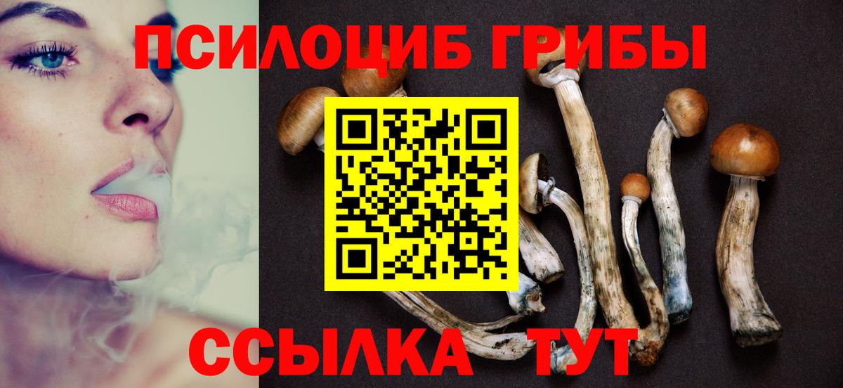 цена наркотик  Галлюциногенные грибы MAGIC MUSHROOMS  Вход с VPN  Улан-Удэ 